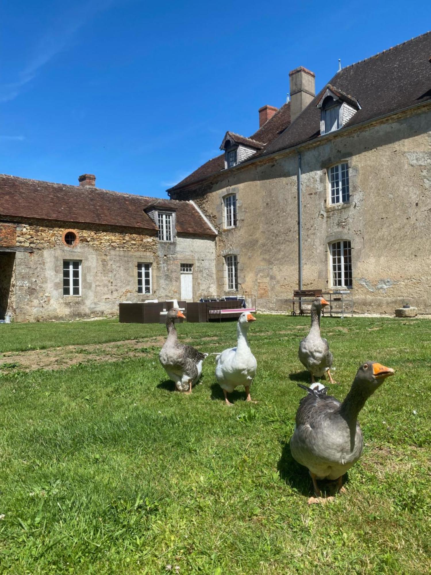 Chateau De Grandsagne ボナ エクステリア 写真